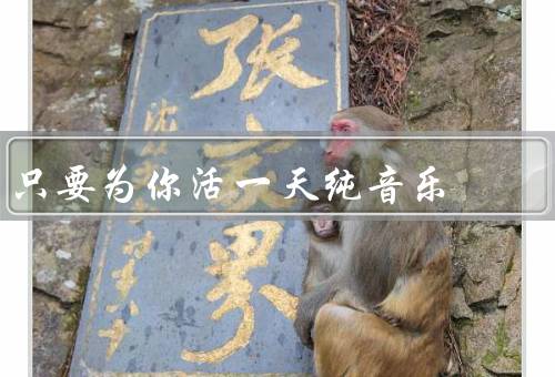 只要为你活一天纯音乐