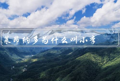 莱昂纳多为什么叫小李