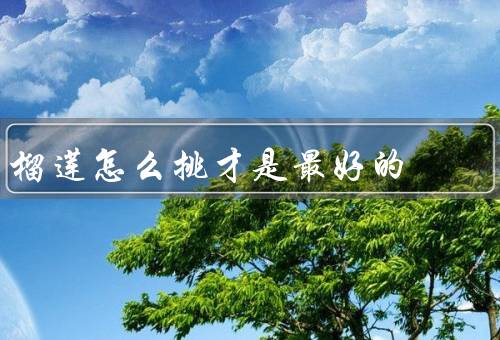 榴莲怎么挑才是最好的