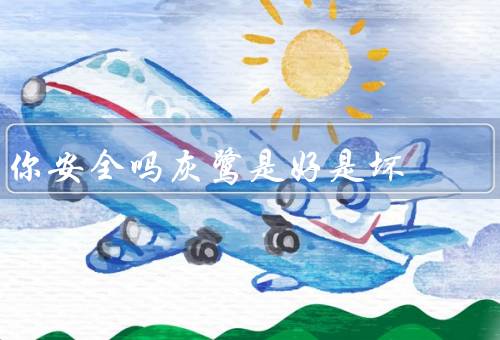 你安全吗灰鹭是好是坏