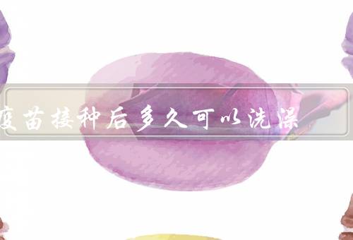 疫苗接种后多久可以洗澡