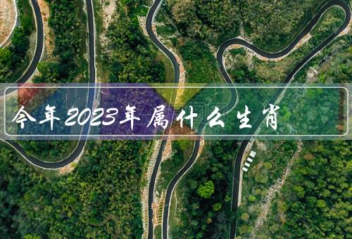 今年2023年属什么生肖