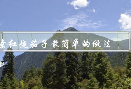 素红烧茄子最简单的做法