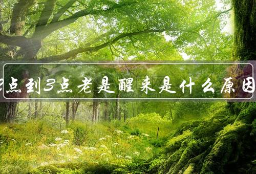半夜2点到3点老是醒来是什么原因