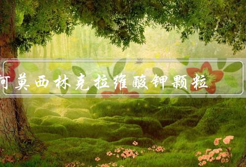 阿莫西林克拉维酸钾颗粒