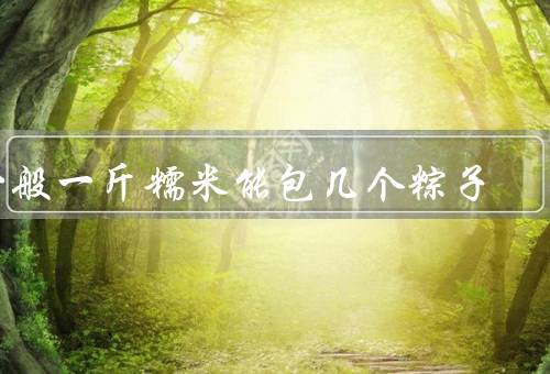 一般一斤糯米能包几个粽子