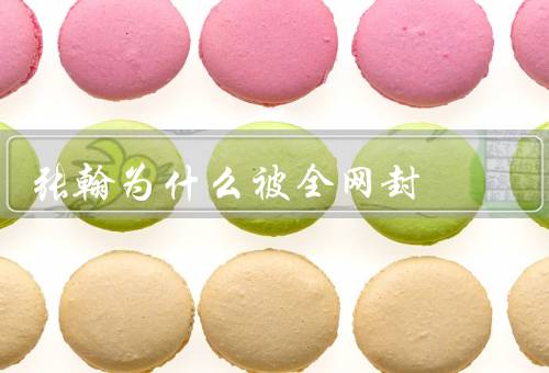 张翰为什么被全网封