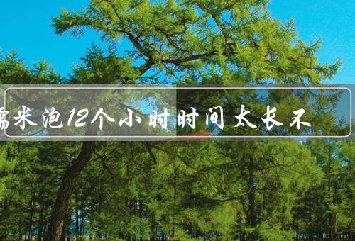 糯米泡12个小时时间太长不