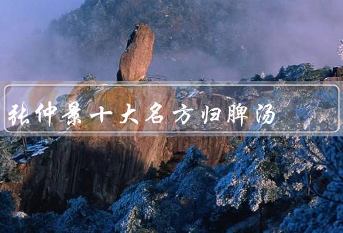 张仲景十大名方归脾汤