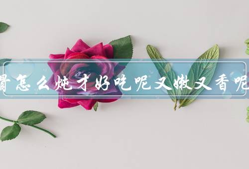 牛排骨怎么炖才好吃呢又嫩又香呢