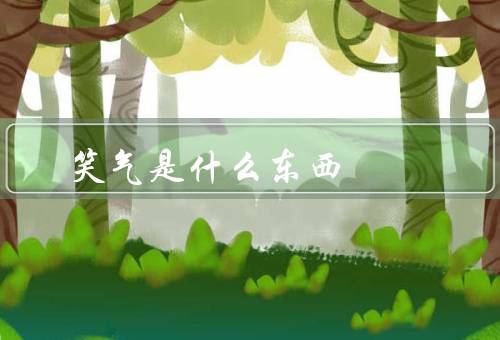 笑气是什么东西