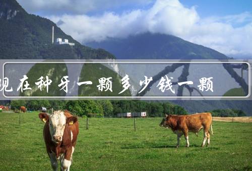 现在种牙一颗多少钱一颗