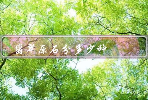 翡翠原石分多少种