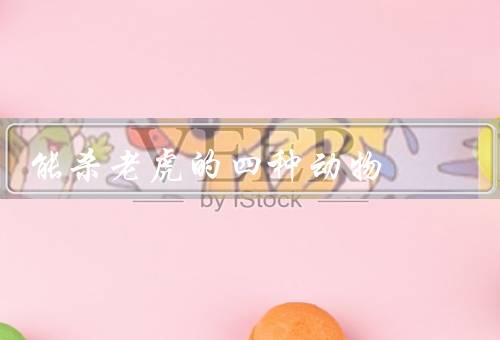 能杀老虎的四种动物