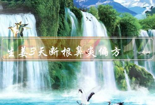 生姜3天断根鼻炎偏方