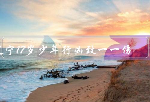 辽宁17岁少年行凶致一一伤