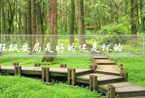 狂飙安局是好的还是坏的