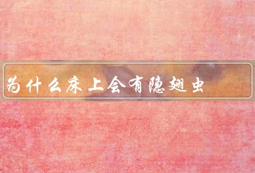 为什么床上会有隐翅虫
