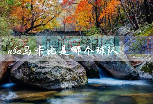 nba马卡比是哪个球队