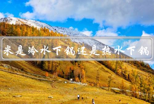 煮玉米是冷水下锅还是热水下锅