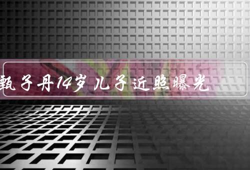 甄子丹14岁儿子近照曝光