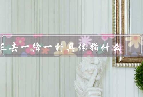 三去一降一补具体指什么