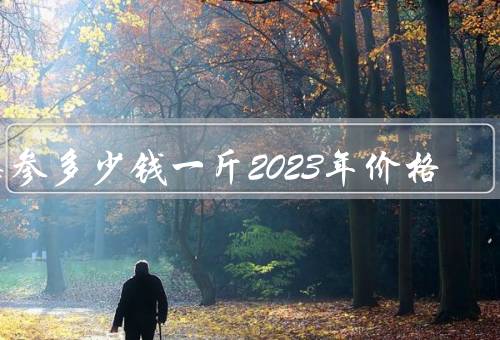 海参多少钱一斤2023年价格