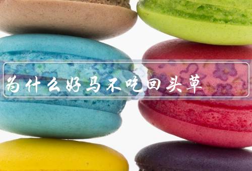 为什么好马不吃回头草