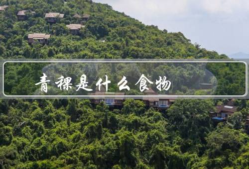 青稞是什么食物
