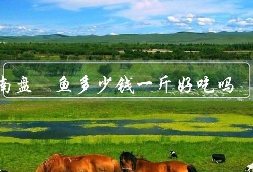 云南盘鮈鱼多少钱一斤好吃吗