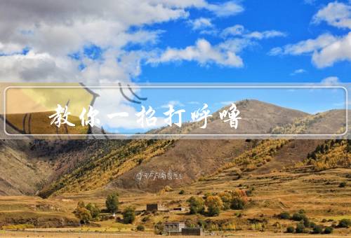 教你一招打呼噜