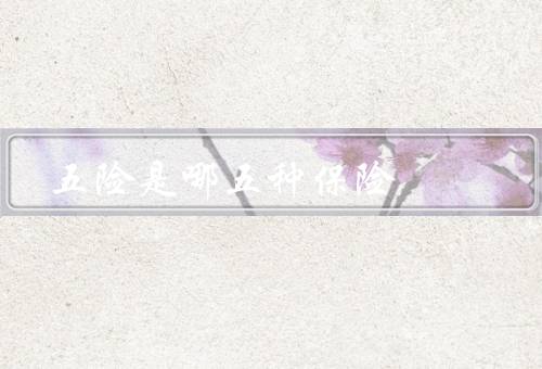 五险是哪五种保险