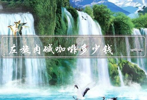 左旋肉碱咖啡多少钱