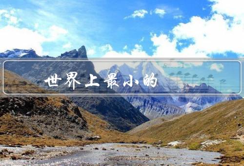 世界上最小的