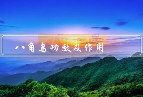 八角乌功效及作用，八角乌栽培技术及形态特征