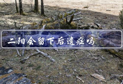 二阳会留下后遗症吗
