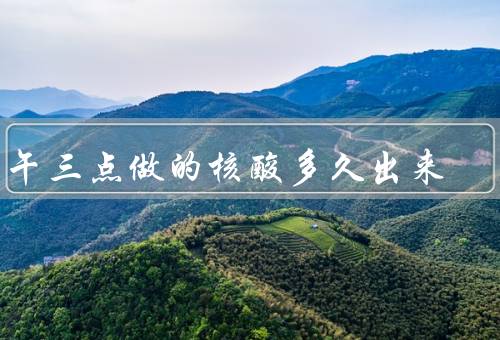 下午三点做的核酸多久出来，晚上9点或次日凌晨（最快4-6小时内）