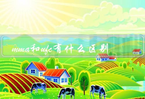 mma和ufc有什么区别