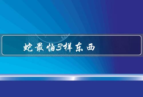 蛇最怕3样东西