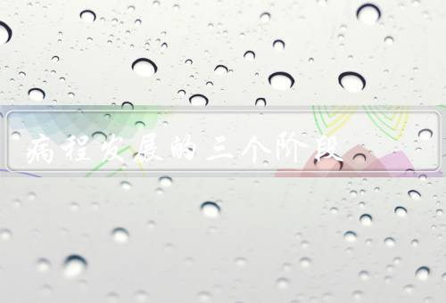 病程发展的三个阶段