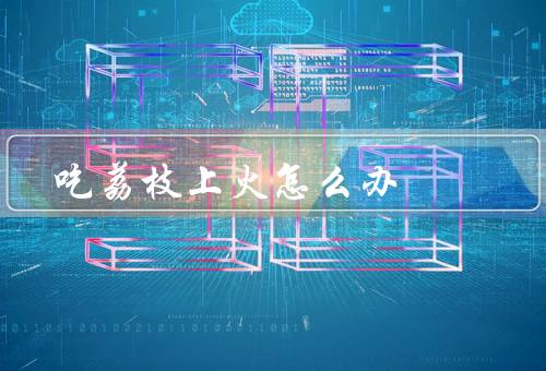 吃荔枝上火怎么办