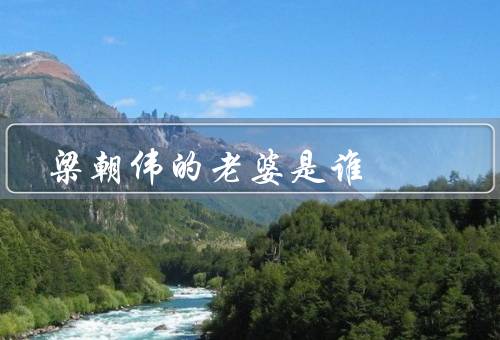梁朝伟的老婆是谁