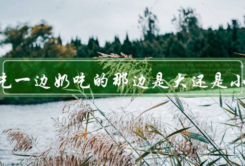老是吃一边奶吃的那边是大还是小