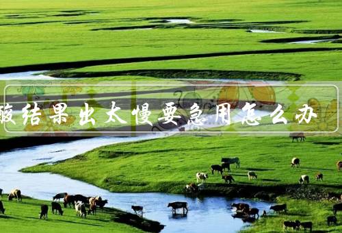 核酸结果出太慢要急用怎么办