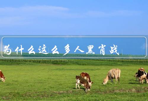 为什么这么多人黑肖战