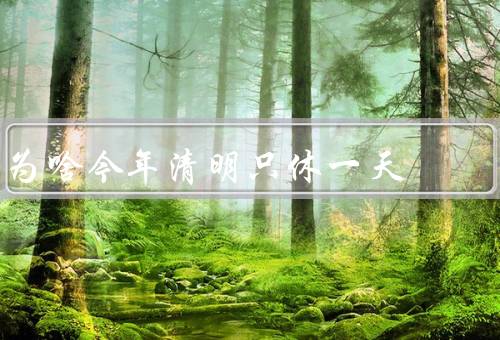 为啥今年清明只休一天
