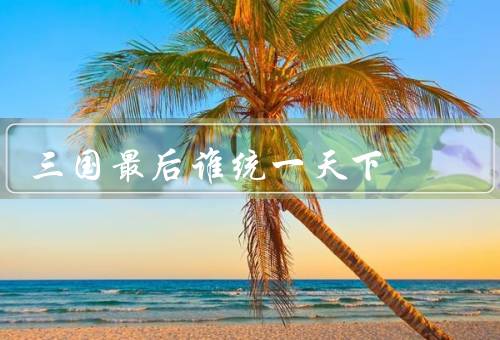 三国最后谁统一天下