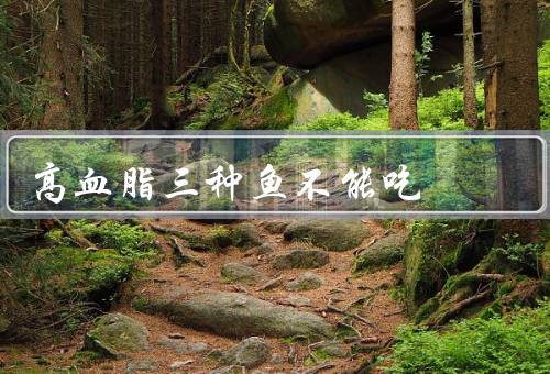 高血脂三种鱼不能吃
