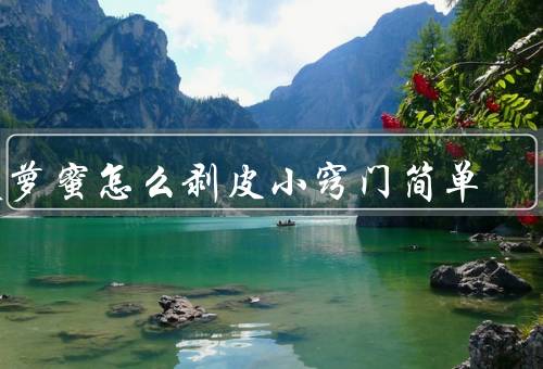 菠萝蜜怎么剥皮小窍门简单