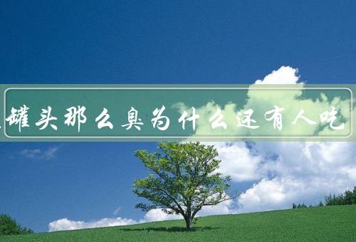 鲱鱼罐头那么臭为什么还有人吃